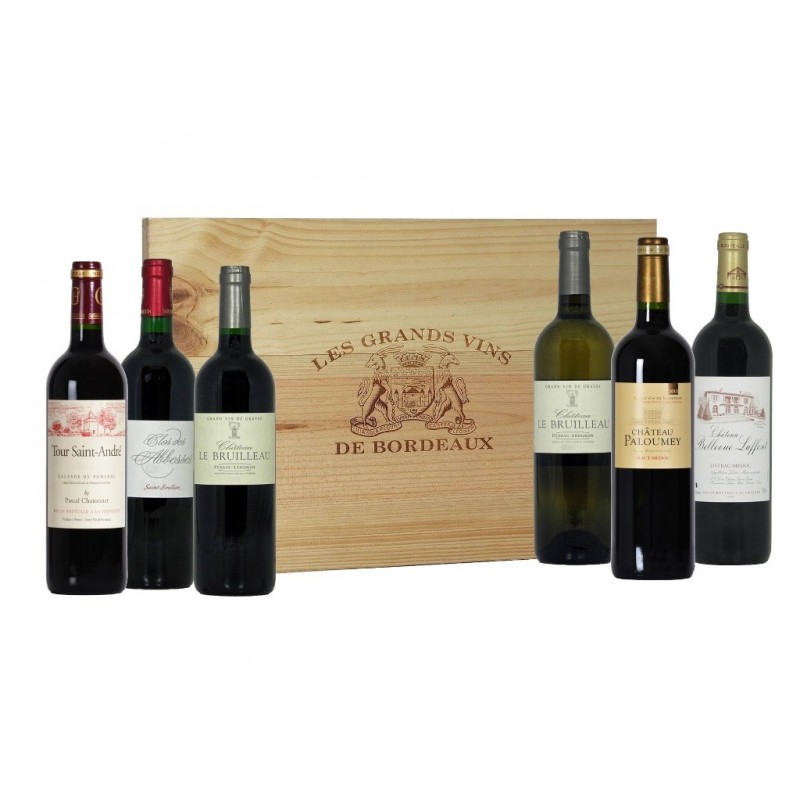 Coffret vin Dégustation – 6 vins rouges de Bordeaux