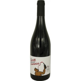 Bouteille de vin rouge Beaujolais Village du Beur dans les Pinard 2019 - Vins et Cadeaux