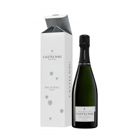 Bouteille de champagne blanc Castelnau 2006 - Vins et Cadeaux