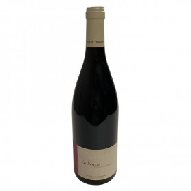 Bouteille de vin rouge BIO Bourgueil cuvée les Galichets du Val de Loire 2014 - Vins et Cadeaux