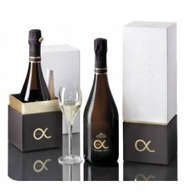 Bouteille de champagne Jacquart cuvée Alpha 2005 - Vins et Cadeaux