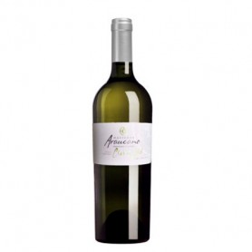 Bouteille de vin blanc Chili Corte Blanc Clos de Lolol 2015 Hacienda Araucano - Vins et Cadeaux