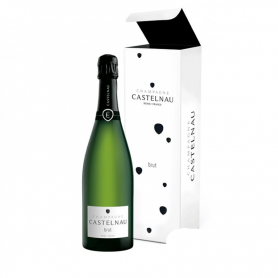 Bouteille d champagne Brut Castelnau - Vins et Cadeaux