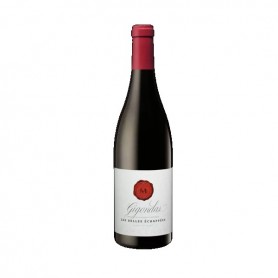 vin rouge Gigondas AOP Marrenon 2020