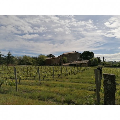 Côte du Rhône, Ardèche Syrah 2020 Mirabel Charmis