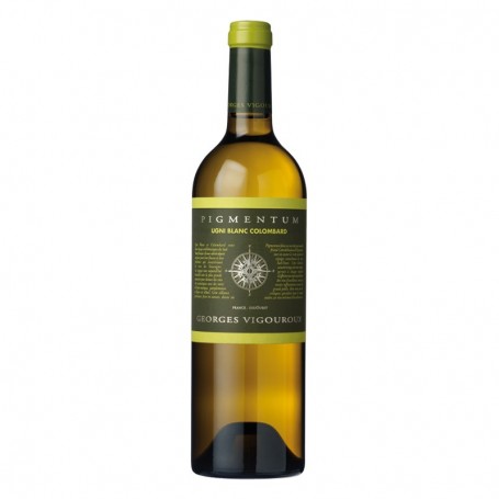 Côtes de Gascogne Pigmentum Ugni/Colombard 2015