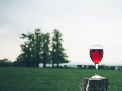 Vins Grand Marrenon : Commencez l’année en beauté avec ce vin