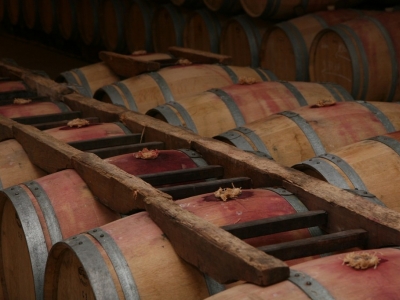 Vin de Bordeaux : Mieux connaitre les différents vignobles du Bordelais